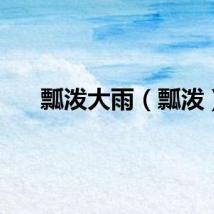 瓢泼大雨（瓢泼）