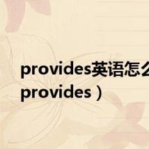provides英语怎么读(provides)