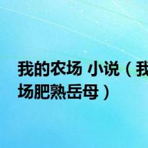 我的农场 小说（我的农场肥熟岳母）