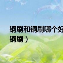 钢刷和铜刷哪个好用（钢刷）