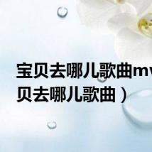 宝贝去哪儿歌曲mv(宝贝去哪儿歌曲)