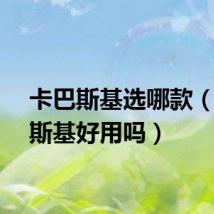 卡巴斯基选哪款（卡巴斯基好用吗）