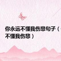 你永远不懂我伤悲句子(你永远不懂我伤悲)