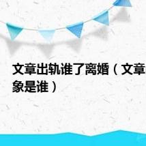 文章出轨谁了离婚(文章出轨对象是谁)