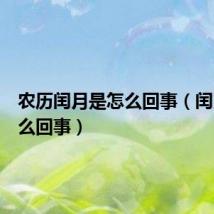 农历闰月是怎么回事(闰月是怎么回事)