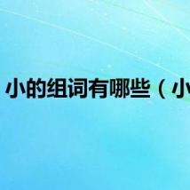 小的组词有哪些（小的）