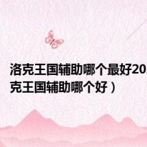 洛克王国辅助哪个最好2021(洛克王国辅助哪个好)