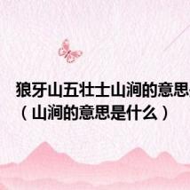 狼牙山五壮士山涧的意思是什么(山涧的意思是什么)
