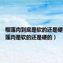 榴莲肉到底是软的还是硬的(榴莲肉是软的还是硬的)