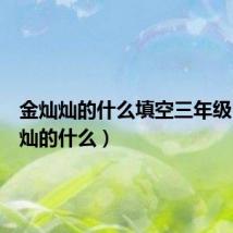 金灿灿的什么填空三年级(金灿灿的什么)