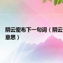 阴云密布下一句词（阴云密布的意思）