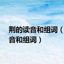荆的读音和组词（的读音和组词）