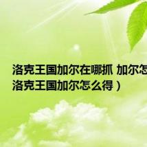 洛克王国加尔在哪抓 加尔怎么得(洛克王国加尔怎么得)
