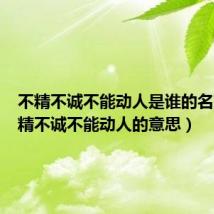 不精不诚不能动人是谁的名言(不精不诚不能动人的意思)