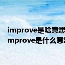 improve是啥意思啊(improve是什么意思)