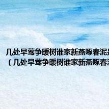 几处早莺争暖树谁家新燕啄春泥是白居易(几处早莺争暖树谁家新燕啄春泥)