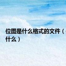 位图是什么格式的文件（位图是什么）