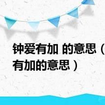 钟爱有加 的意思（钟爱有加的意思）