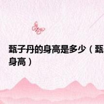甄子丹的身高是多少(甄子丹的身高)