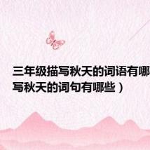 三年级描写秋天的词语有哪些(描写秋天的词句有哪些)