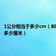 1公分相当于多少cm(80公分是多少厘米)