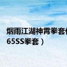 烟雨江湖神霄拳套任务(65SS拳套)