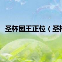 圣杯国王正位（圣杯）