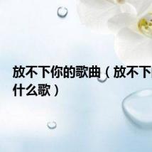 放不下你的歌曲(放不下的你是什么歌)