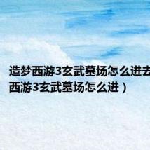 造梦西游3玄武墓场怎么进去(造梦西游3玄武墓场怎么进)