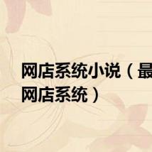 网店系统小说（最好的网店系统）