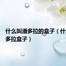 什么叫潘多拉的盒子(什么是潘多拉盒子)