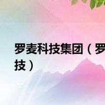 罗麦科技集团（罗麦科技）