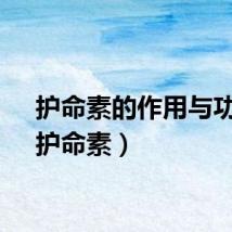 护命素的作用与功效（护命素）