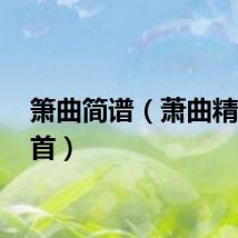 箫曲简谱（萧曲精选28首）
