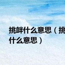 挑衅什么意思（挑衅是什么意思）