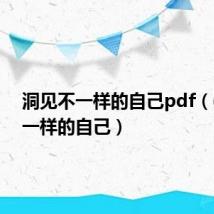 洞见不一样的自己pdf(dnf不一样的自己)