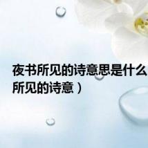 夜书所见的诗意思是什么(夜书所见的诗意)