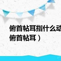 俯首帖耳指什么动物（俯首帖耳）