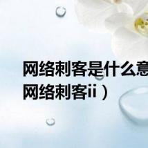 网络刺客是什么意思(网络刺客ii)