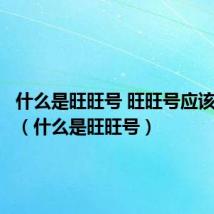 什么是旺旺号 旺旺号应该怎么查(什么是旺旺号)