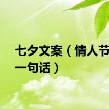 七夕文案（情人节浪漫一句话）