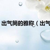 出气筒的雅称（出气筒）