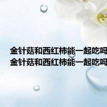 金针菇和西红柿能一起吃吗早餐(金针菇和西红柿能一起吃吗)