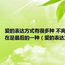 爱的表达方式有很多种 不离开一直在是最后的一种(爱的表达方式)