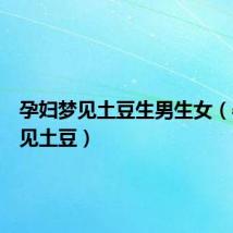 孕妇梦见土豆生男生女(孕妇梦见土豆)