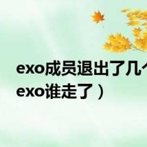 exo成员退出了几个人(exo谁走了)