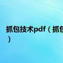 抓包技术pdf（抓包技术）