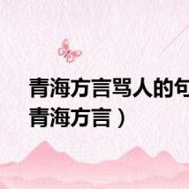 青海方言骂人的句子（青海方言）