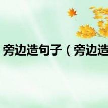旁边造句子（旁边造句）