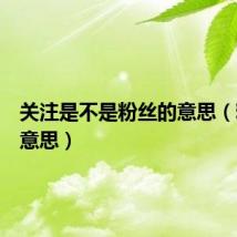关注是不是粉丝的意思（粉丝的意思）